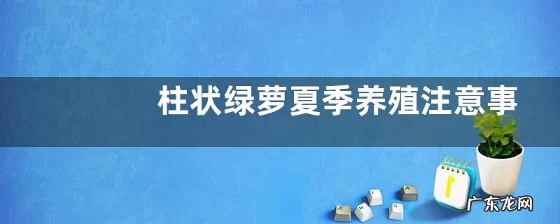 柱状绿萝夏季养殖注意事项