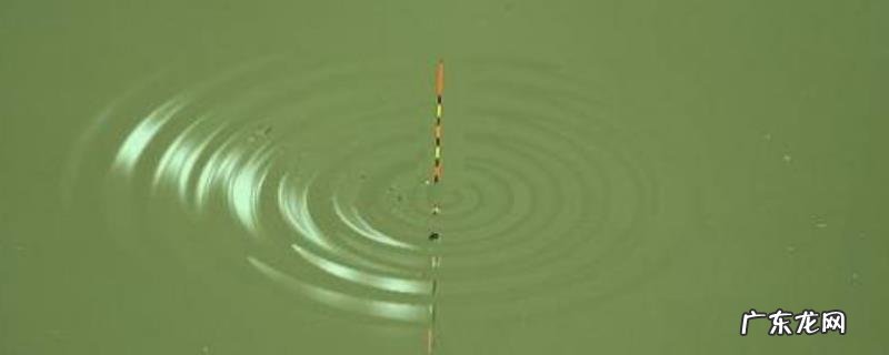 如何才能精确判读漂讯？具体有哪些漂相