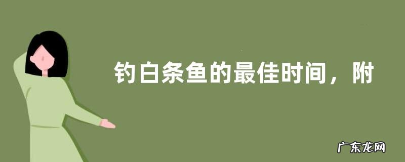 钓白条鱼的最佳时间,附饵料选用