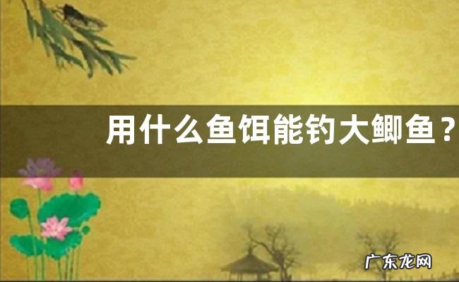 用什么鱼饵能钓大鲫鱼？详细如下