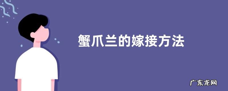 蟹爪兰的嫁接方法