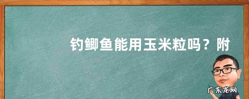 钓鲫鱼能用玉米粒吗？附饵料推荐