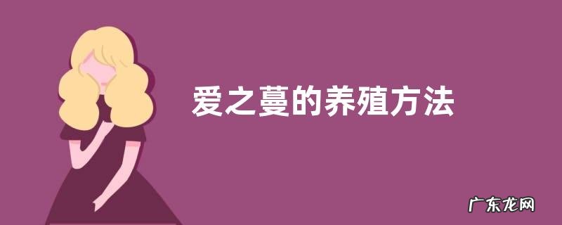 爱之蔓的养殖方法