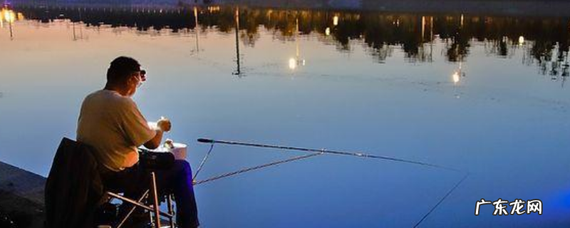 夜钓怎么选钓位？需要哪些作钓工具