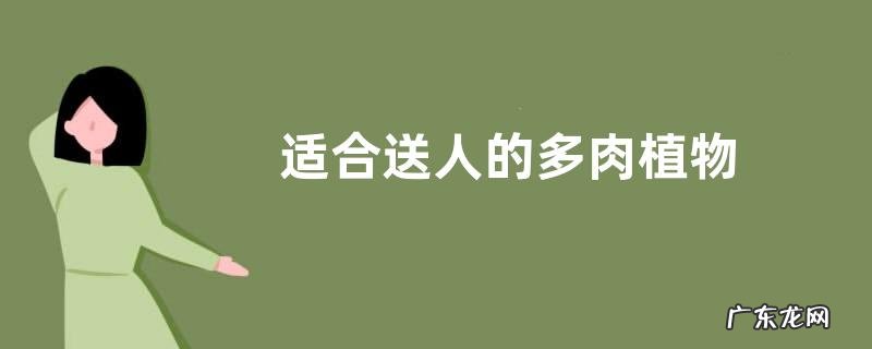 适合送人的多肉植物