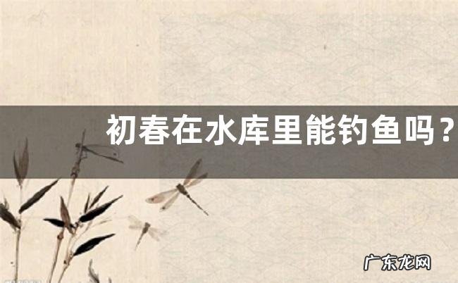 初春在水库里能钓鱼吗？附作钓技巧和作钓原则