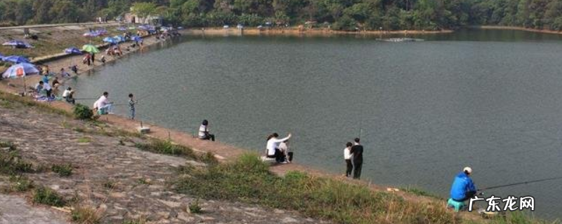 初春在水库里能钓鱼吗？附作钓技巧和作钓原则
