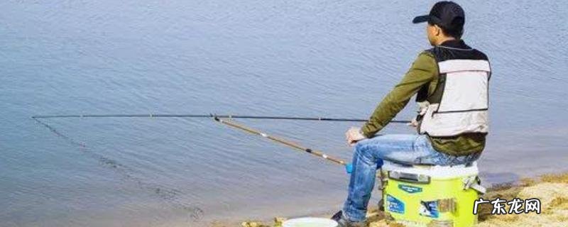 搓饵到底要不要加拉丝粉?附实际鱼情