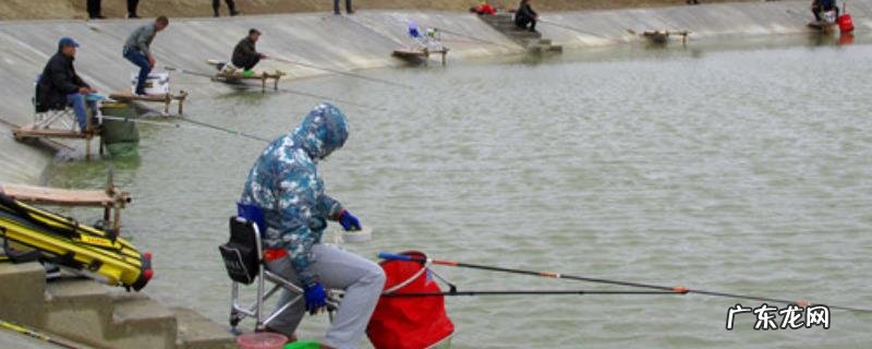 螺鲤饵料能钓什么鱼?这些鱼有什么生活习性