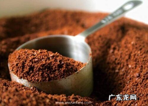 咖啡渣可以种多肉吗