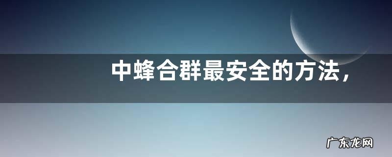 中蜂合群最安全的方法,详细如下