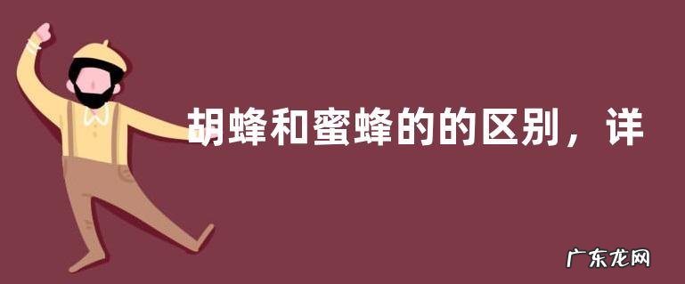胡蜂和蜜蜂的的区别，详细如下