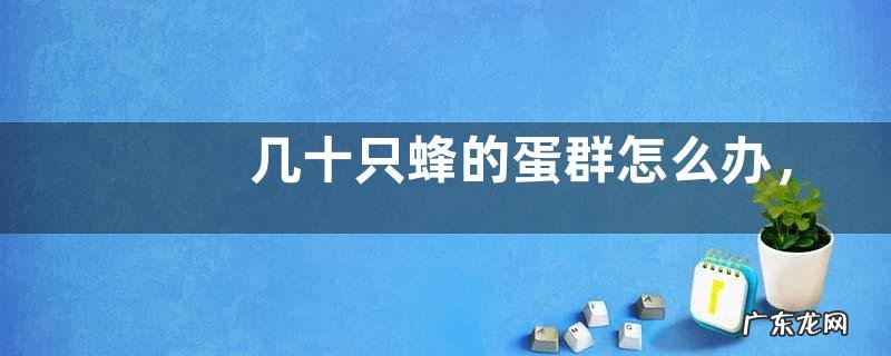 几十只蜂的蛋群怎么办,详细介绍