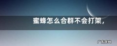 蜜蜂怎么合群不会打架，附蜜蜂合群的方法