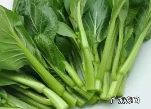 蔬菜菜苔和菜心是同一样东西吗 菜苔和菜心的区别