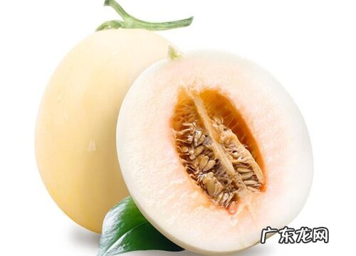 甜瓜是水果还是蔬菜