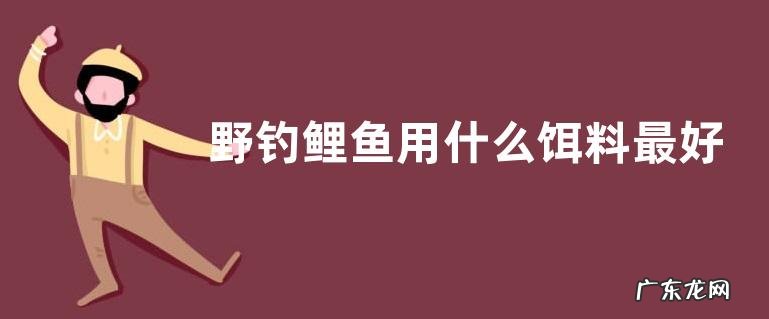 野钓鲤鱼用什么饵料最好？主要有以下几种