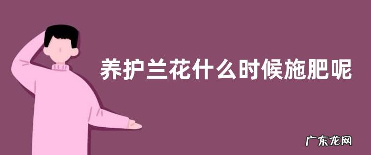养护兰花什么时候施肥呢