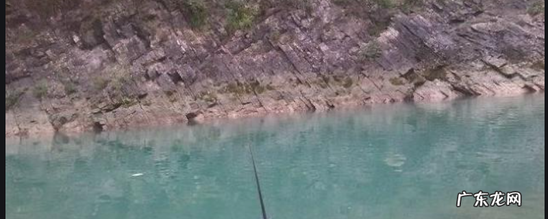 溪流钓是什么意思？有什么技巧