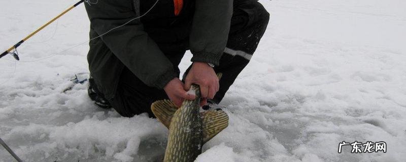 冰钓什么时候好钓?附钓点的选择