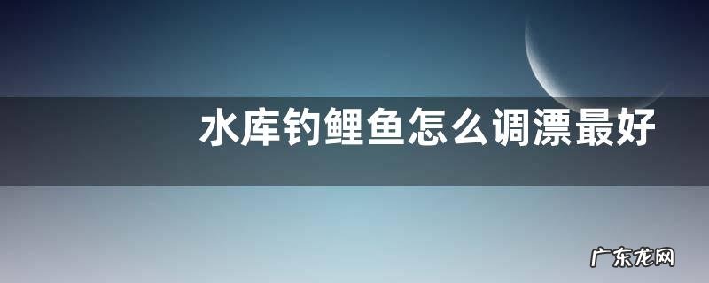 水库钓鲤鱼怎么调漂最好?注意事项有哪些