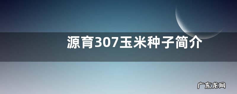 源育307玉米品种审定公告 源育307玉米种子简介