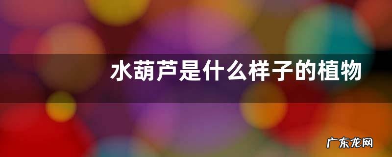 植物类群水葫芦的作用 水葫芦是什么样子的植物