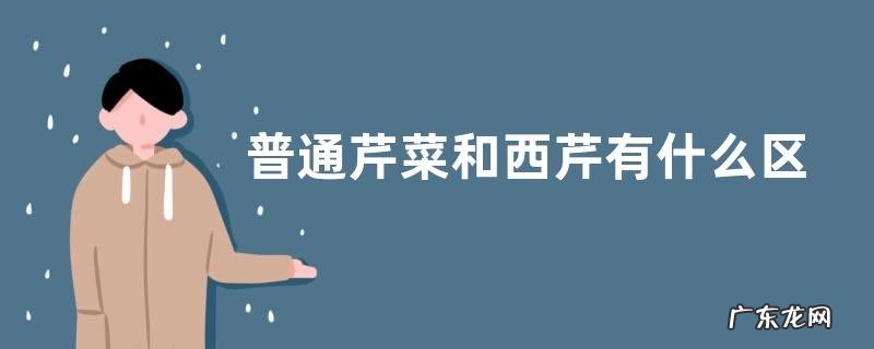 西芹芹菜是一样的吗 普通芹菜和西芹有什么区别图片