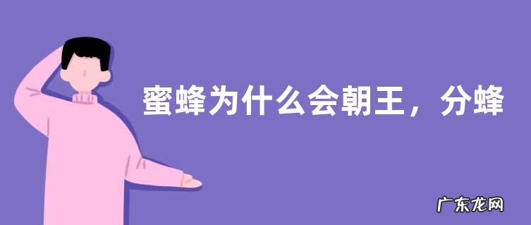 蜜蜂为什么会朝王，分蜂有哪些征兆