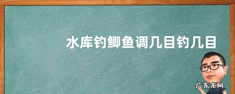 水库钓鲫鱼调几目钓几目？有以下几种