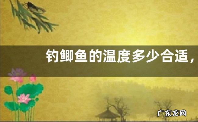 钓鲫鱼的温度多少合适,钓鲫鱼的注意事项