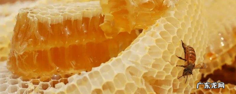 蜂蜜多少钱一斤才是真的，真蜂蜜为什么很贵