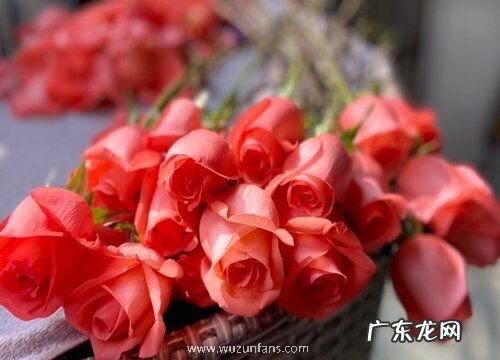 鲜花店刚买到的花束怎么养活 买回来的花束如何保养更久