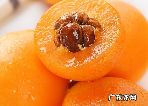 浙江、四川、云南、广东枇杷好吃 枇杷产地哪里最有名