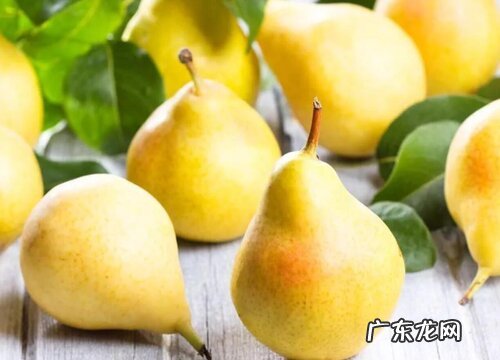 适合春天吃的水果品种 三四月份什么水果是最当季