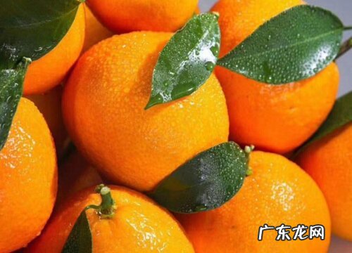 适合春天吃的水果品种 三四月份什么水果是最当季