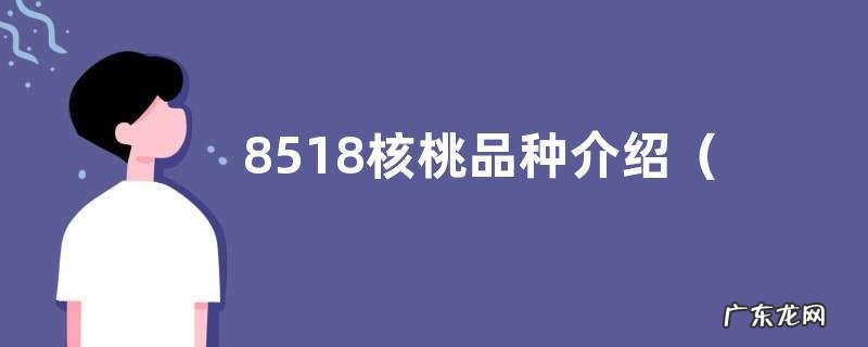 核桃树8518亩产量多少 8518核桃品种介绍