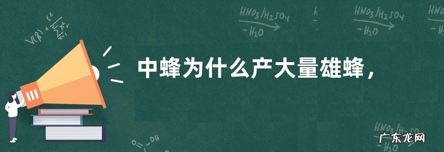 中蜂为什么产大量雄蜂，原因如下