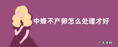 中蜂不产卵怎么处理才好，找到问题及时解决