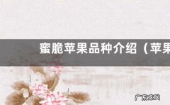 苹果新品种蜜脆几月份成熟期 蜜脆苹果品种介绍