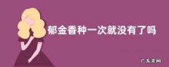 郁金香是每年都要重新种吗 郁金香种一次就没有了吗