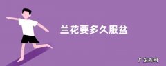 兰花要多久服盆
