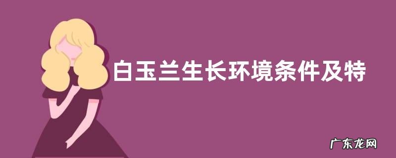 白玉兰生长环境条件及特点