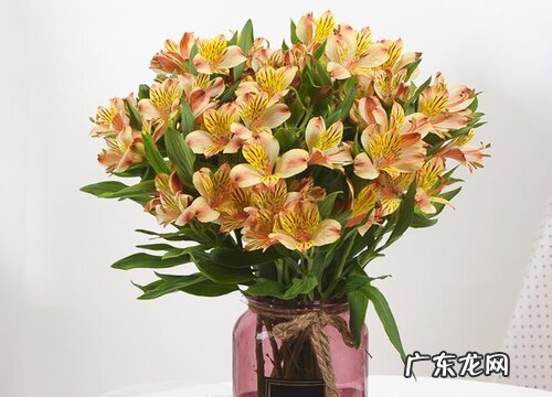 买来鲜花放什么东西能长久 插花水里放什么保鲜持久