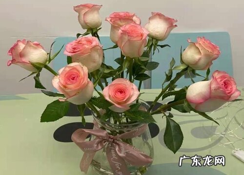 买来鲜花放什么东西能长久 插花水里放什么保鲜持久