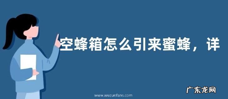 空蜂箱怎么引来蜜蜂，详细介绍