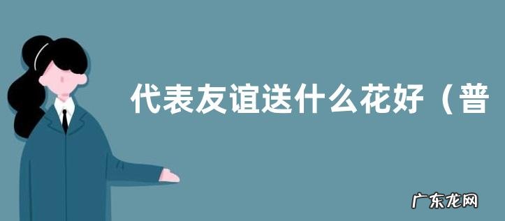 普通朋友的友情送什么花寓意好 代表友谊送什么花好