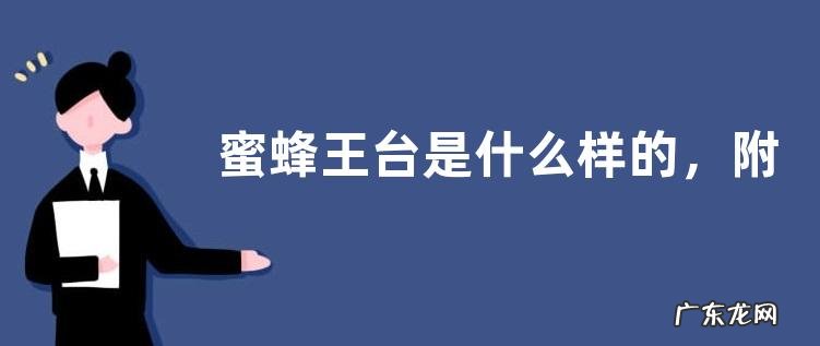 蜜蜂王台是什么样的,附王台的主要作用