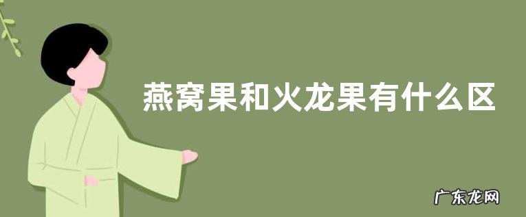 燕窝果比火龙果贵那么多 燕窝果和火龙果有什么区别