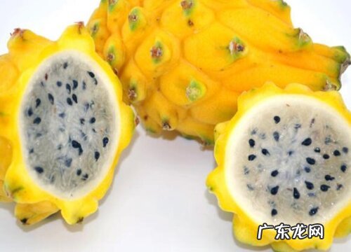 燕窝果比火龙果贵那么多 燕窝果和火龙果有什么区别